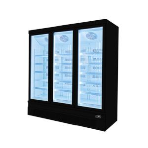 110V Commercial Upright Freezer Seafood Ice Cream Frozen Chicken Product Display