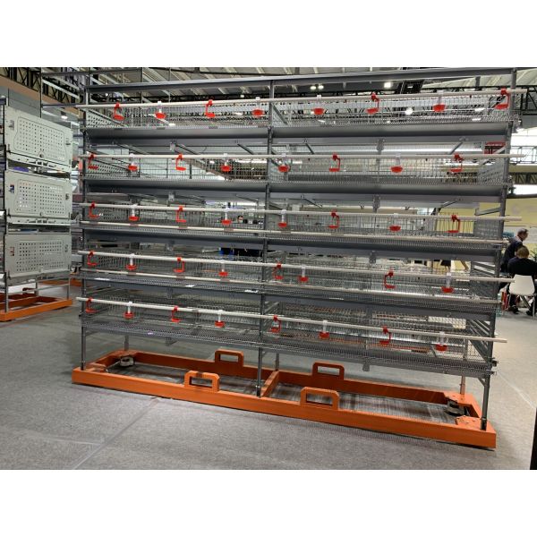 Enriched Wire 5 Cell 128 Birds Layer Chicken Cage