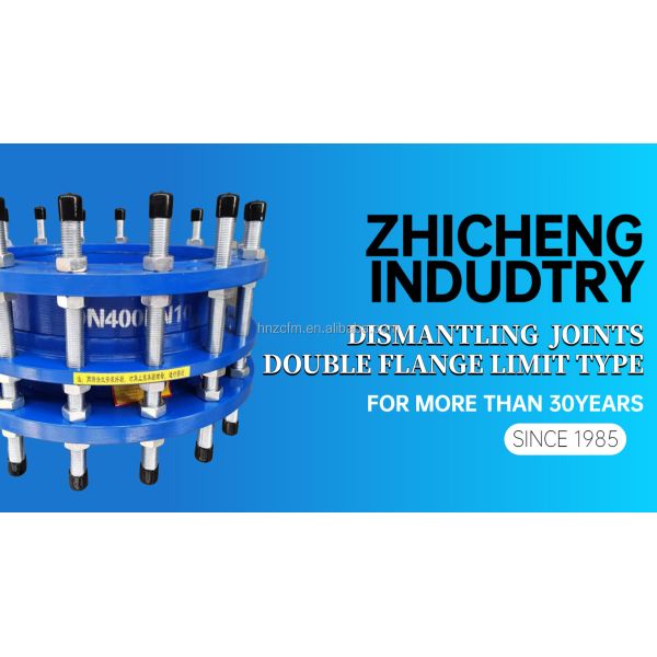 10" Double Flanged Dismantling Joint Carbon Steel Expansion Pipe Metal Expansion Joint