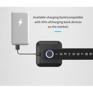 Remote Control Keyless Entry Smart Lock OEM Biometric Door Lock