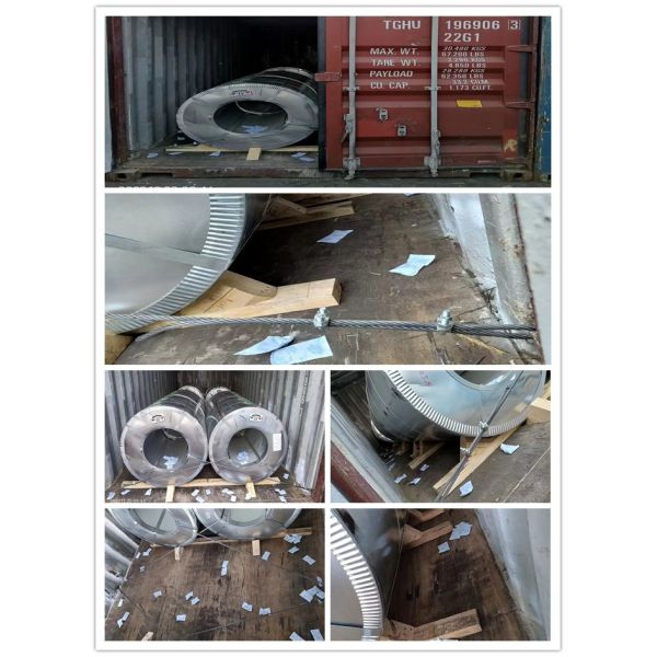 Ral Color Prepainted Galvanized Steel Coil