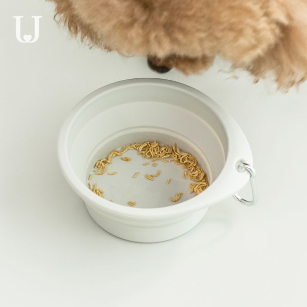 Silicone Rounded Collapsible Pet Bowl Portable Travel Dog Dishes