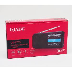 Digital Handheld Portable AM FM Radio 28mm 108MHz Dry Battery Power With Speaker