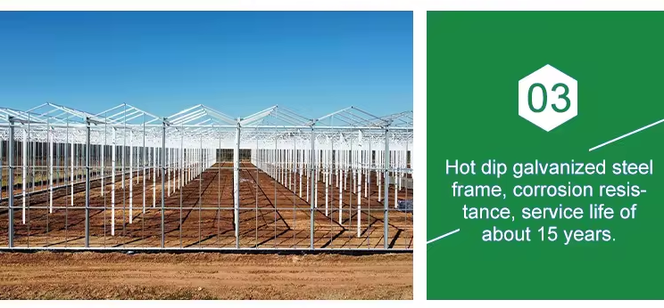 Economical Low Cost Plastic Film Single-span Poly Tunnel Galvanized Greenhouse Tent