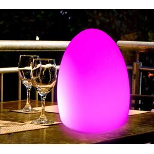 egg shape plastic led table lamp