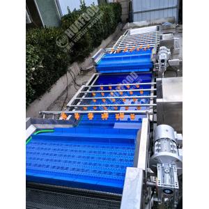 Fruit And Vegetable Washing Machine with Feathers and 220V Voltage