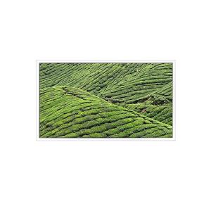 DV320WHD-NT0 32.0 inch 1366*768 LCD Screen FOR Transparent Display