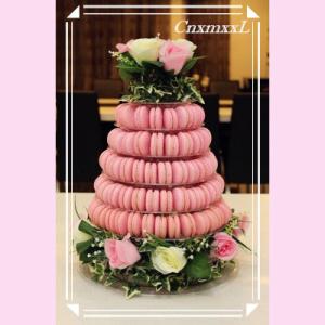 Stackable 10 Layer Plastic Macaron Packaging 0.8mm PVC Christmas Tree Macaron