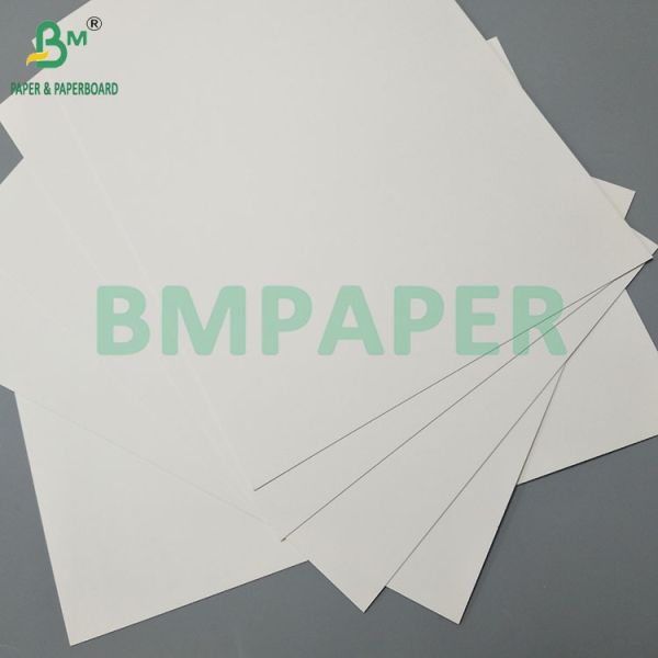 260gsm+18PE Matte Coated Food Oilproof Paper For Making Disposable Paper Cups And Bowls