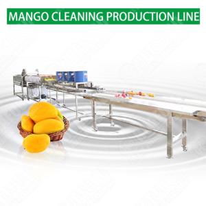 Kelp Seaweed Cleaning Machine Tomato Washing And Drying Machine