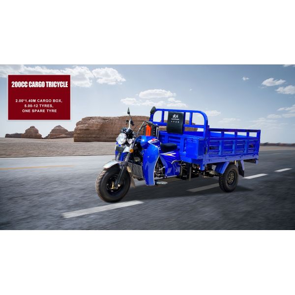 1 Passenger 200cc Air Cooled Cargo Motor Tricycle with 60km/h Speed and Shaft Transmission