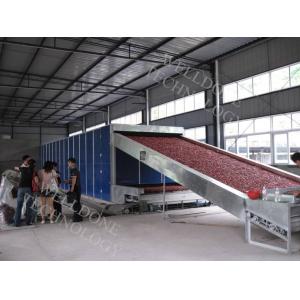 DWF Series Conveyor Belt Dryer large capacity high efficiency