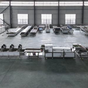 Advanced Fruit and Vegetable Processing Equipment for Cleaning