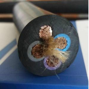 Copper-Conductor Cold-Resistant Silicon Rubber Power Cable Low-Voltage Electric