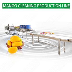 Automatic Salad Production Line Vegetable Washing Processing Line