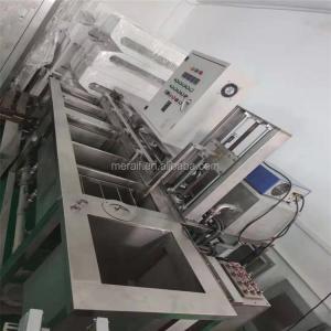 factory direct supply Full Automatic PCB Cleaner SMT Cleaning Machine for IGBT