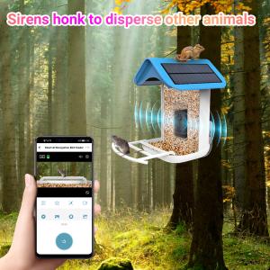Wild bird feeder AI recognition smart bird feeders with solar panel