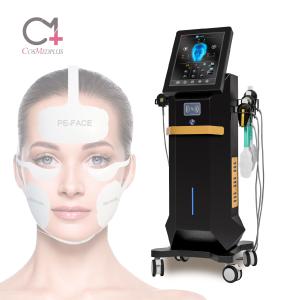 Portable Ems Face Lifting Vibration Radio Frequency Beauty Machine for Skin Care