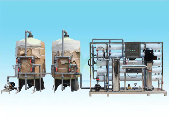Customized Ion Exchange Water Treatment System 10T/H For Drinking Water /