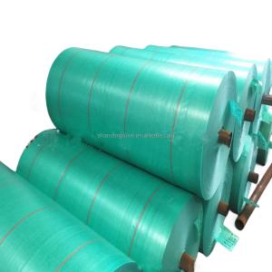 Heavy Duty Waterproof PE Tarpaulin with 6*6-16*16 Density and 2-12m Width in