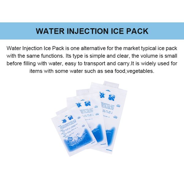Custom Order Accepted Reusable Water Injection Type Ice Pack for Outdoor Camping Food