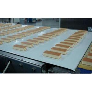 Portable PU Polyurethane Curved Conveyor Belt Material High Straightness