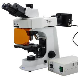 Cheap 40x - 1000x LED Trinocular Fluorescence Microscope For Research / Learning for sale
