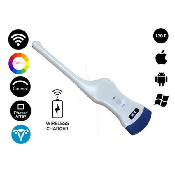 Quality 3 In 1 Portable Ultrasonic Transducer Probe Convex Transvaginal Cardiac Wireless Ultrasound Wifi wholesale